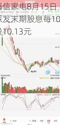 海信家电8月15日派发末期股息每10股10.13元