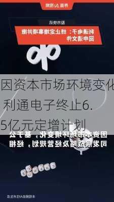 因资本市场环境变化 利通电子终止6.5亿元定增计划