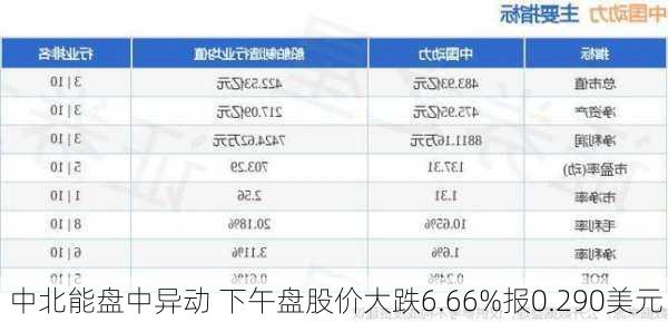 中北能盘中异动 下午盘股价大跌6.66%报0.290美元