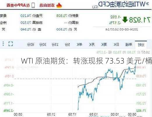 WTI 原油期货：转涨现报 73.53 美元/桶