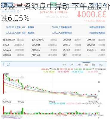 鸿盛昌资源盘中异动 下午盘股价大跌6.05%