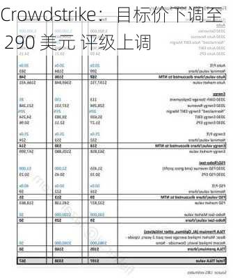 Crowdstrike：目标价下调至 290 美元 评级上调