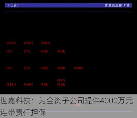 世嘉科技：为全资子公司提供4000万元连带责任担保
