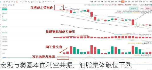 宏观与弱基本面利空共振，油脂集体破位下跌