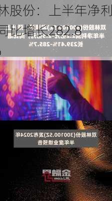 双林股份：上半年净利润同比增长282.89%