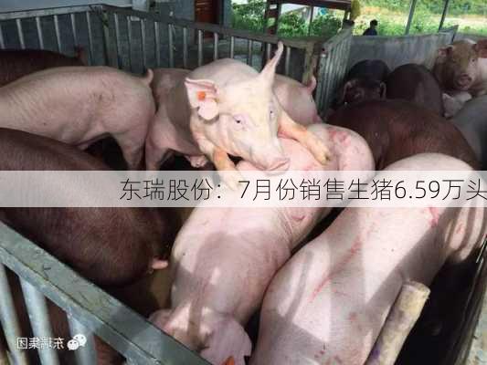 东瑞股份：7月份销售生猪6.59万头