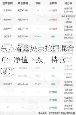 东方睿鑫热点挖掘混合 C：净值下跌，持仓曝光