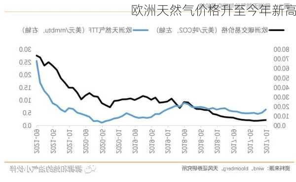 欧洲天然气价格升至今年新高