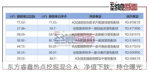 东方睿鑫热点挖掘混合 A：净值下跌，持仓曝光