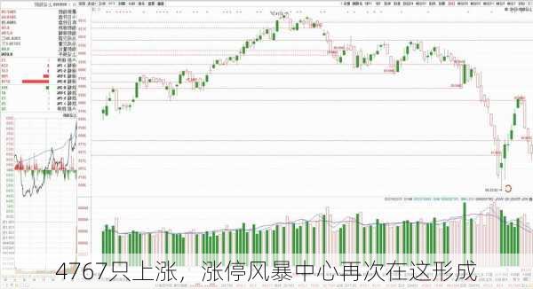 4767只上涨，涨停风暴中心再次在这形成