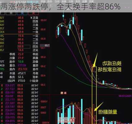 两涨停两跌停，全天换手率超86%