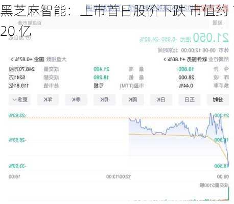 黑芝麻智能：上市首日股价下跌 市值约 120 亿