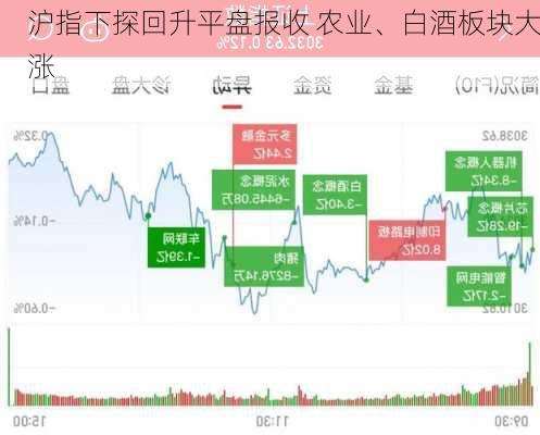 沪指下探回升平盘报收 农业、白酒板块大涨