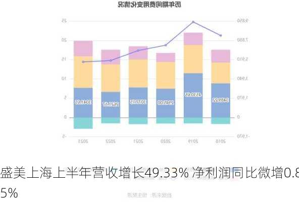 盛美上海上半年营收增长49.33% 净利润同比微增0.85%