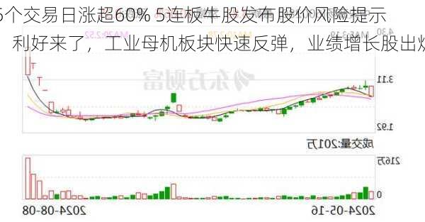 5个交易日涨超60% 5连板牛股发布股价风险提示！利好来了，工业母机板块快速反弹，业绩增长股出炉