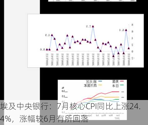 埃及中央银行：7月核心CPI同比上涨24.4%，涨幅较6月有所回落