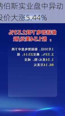 纳伯斯实业盘中异动 股价大涨5.44%