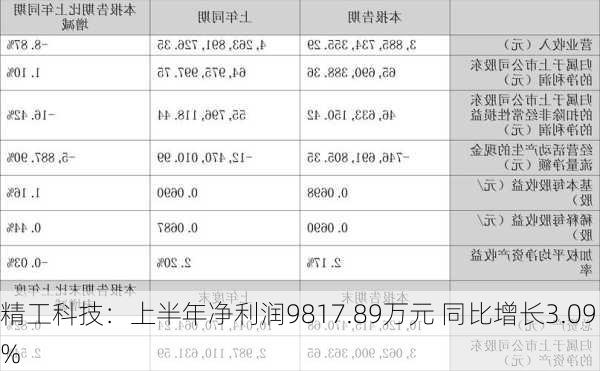 精工科技：上半年净利润9817.89万元 同比增长3.09%