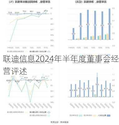 联迪信息2024年半年度董事会经营评述