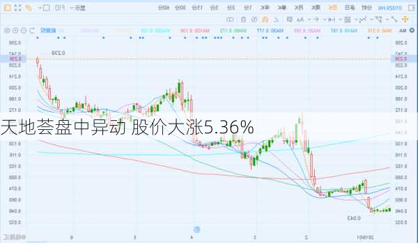 天地荟盘中异动 股价大涨5.36%