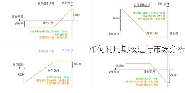 如何利用期权进行市场分析