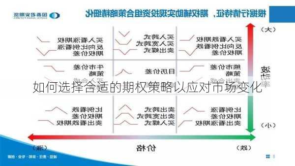 如何选择合适的期权策略以应对市场变化