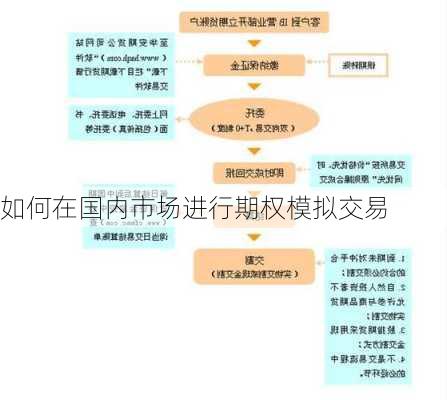 如何在国内市场进行期权模拟交易