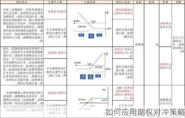 如何应用期权对冲策略