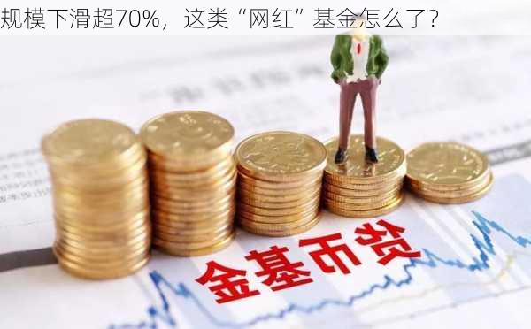 规模下滑超70%，这类“网红”基金怎么了？