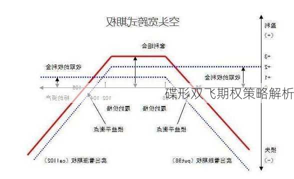 碟形双飞期权策略解析