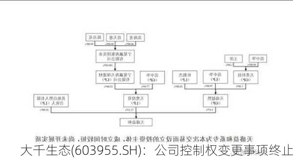 大千生态(603955.SH)：公司控制权变更事项终止