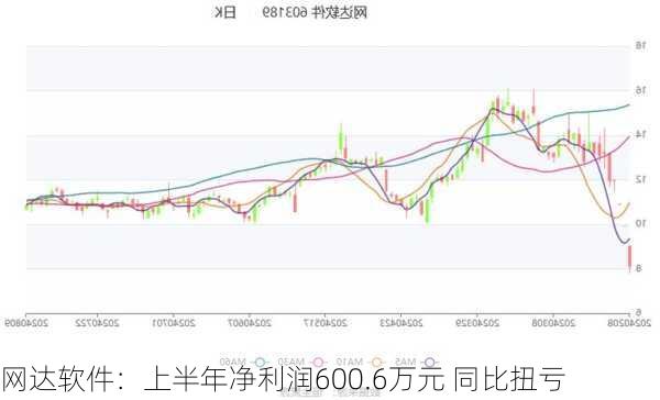 网达软件：上半年净利润600.6万元 同比扭亏