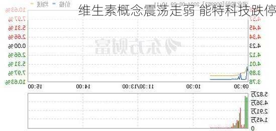 维生素概念震荡走弱 能特科技跌停