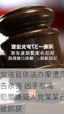 女法官依法办案遭原告杀害 凶手服毒 犯罪嫌疑人党某某已被抓获