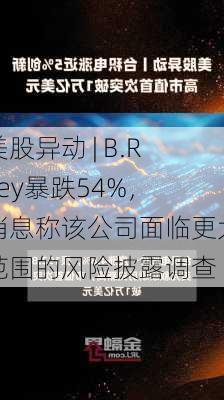 美股异动 | B.Riley暴跌54%，消息称该公司面临更大范围的风险披露调查