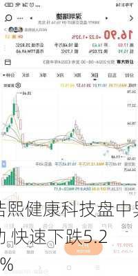 浩熙健康科技盘中异动 快速下跌5.20%