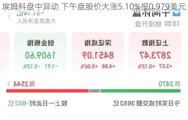 埃姆科盘中异动 下午盘股价大涨5.10%报0.979美元