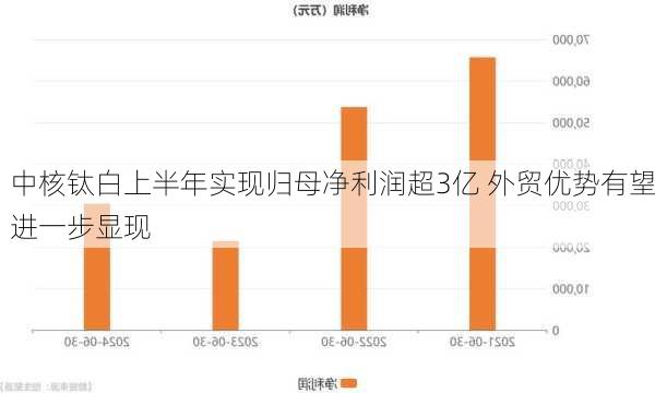 中核钛白上半年实现归母净利润超3亿 外贸优势有望进一步显现