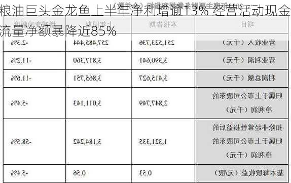 粮油巨头金龙鱼上半年净利增逾13% 经营活动现金流量净额暴降近85%