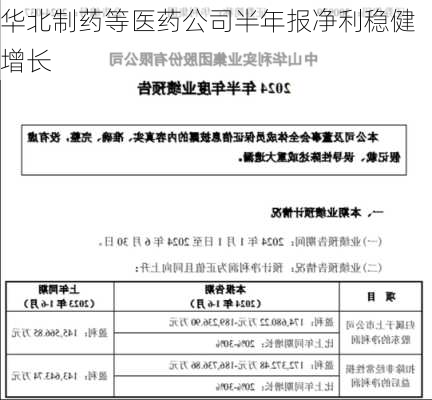 华北制药等医药公司半年报净利稳健增长