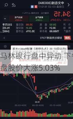 马林银行盘中异动 下午盘股价大涨5.03%