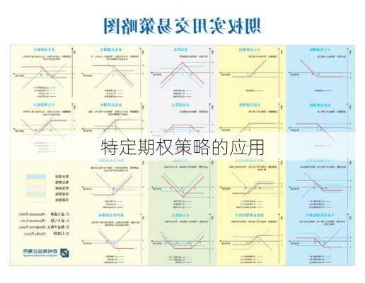 特定期权策略的应用