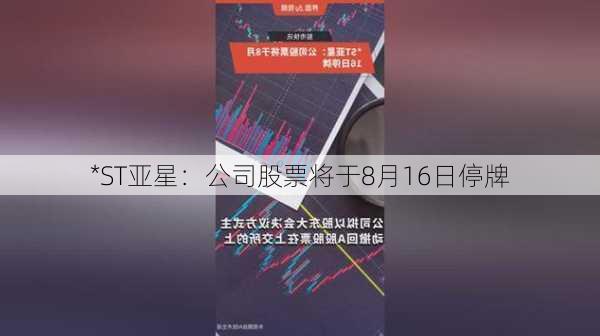 *ST亚星：公司股票将于8月16日停牌