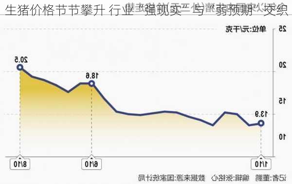 生猪价格节节攀升 行业“强现实”与“弱预期”交织