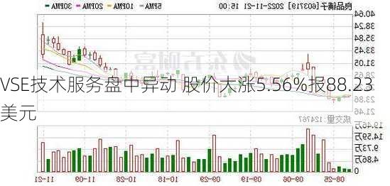 VSE技术服务盘中异动 股价大涨5.56%报88.23美元