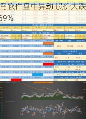 讯鸟软件盘中异动 股价大跌5.69%