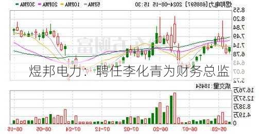 煜邦电力：聘任李化青为财务总监