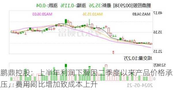 鹏鼎控股：上半年利润下滑因二季度以来产品价格承压，费用同比增加致成本上升