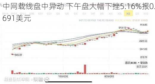 中网载线盘中异动 下午盘大幅下挫5.16%报0.691美元