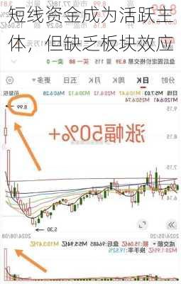 短线资金成为活跃主体，但缺乏板块效应